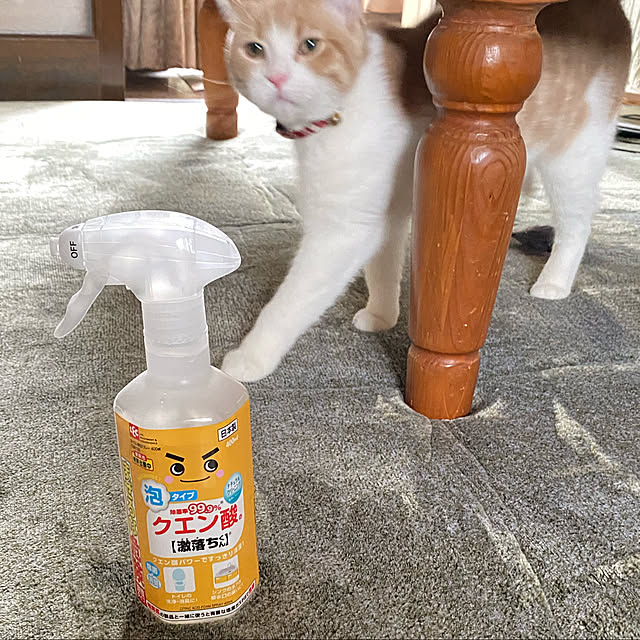 mintteaさんの実例写真