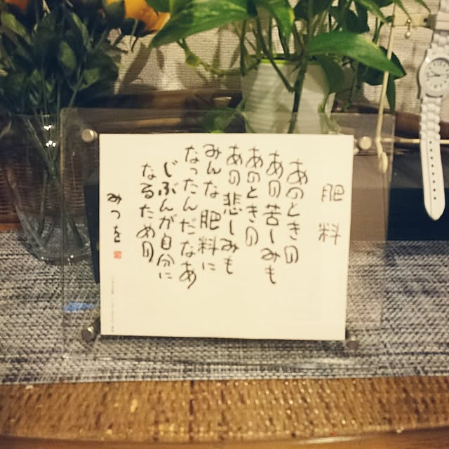 実例写真