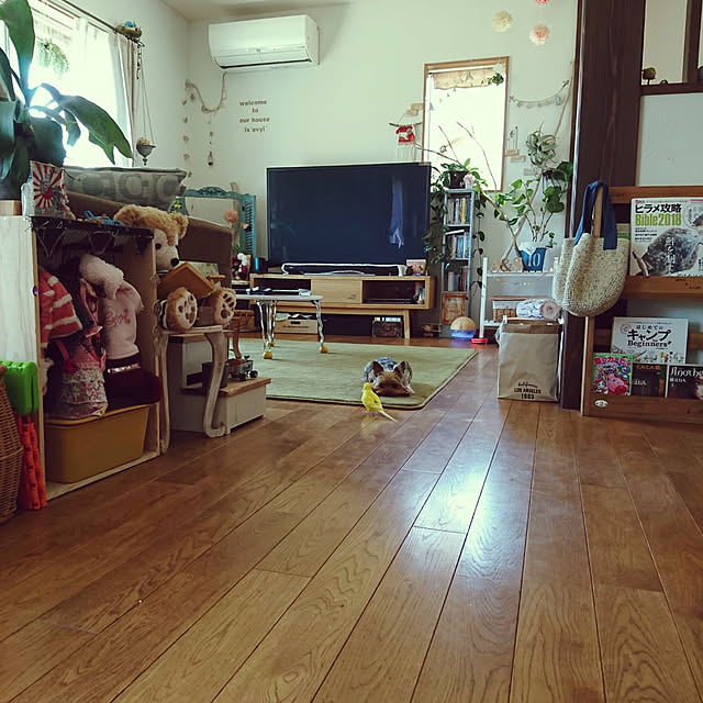 akiさんの実例写真