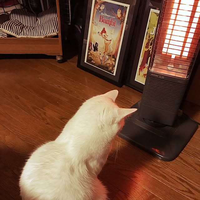 Reonaさんの実例写真