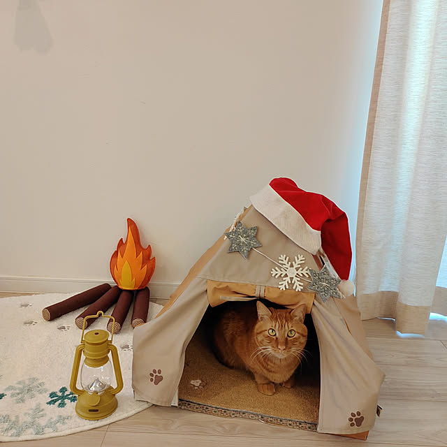 Marikoさんの実例写真