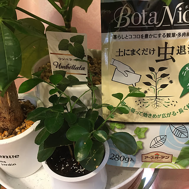 shigetanさんの実例写真