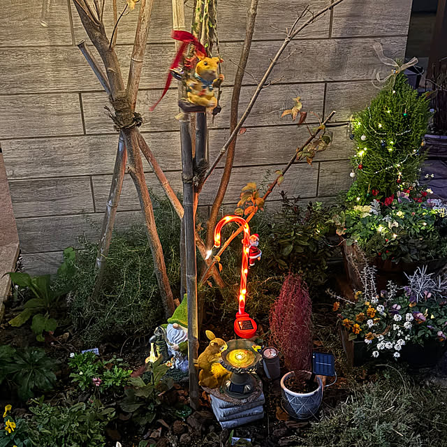 hitomiさんの実例写真