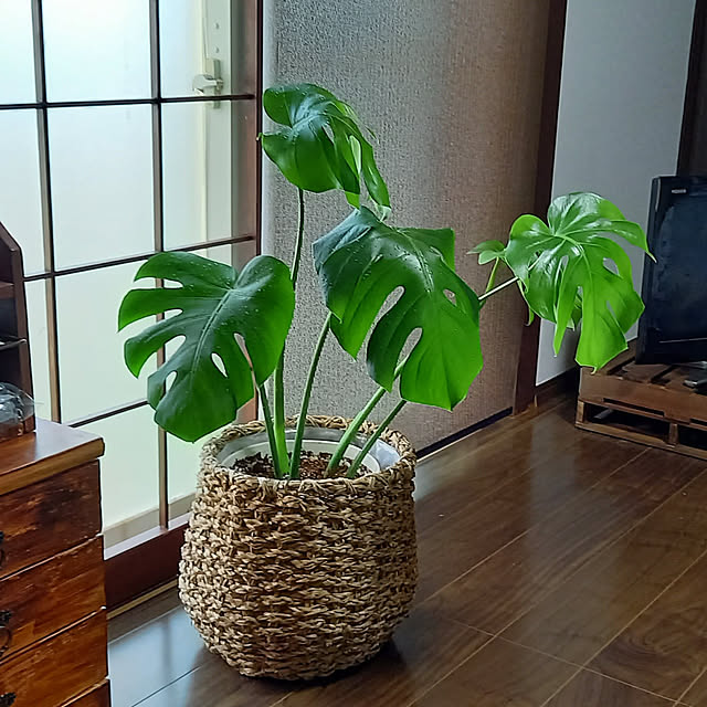 momonekoさんの実例写真