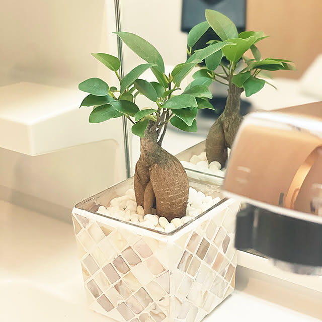 MONOさんの実例写真
