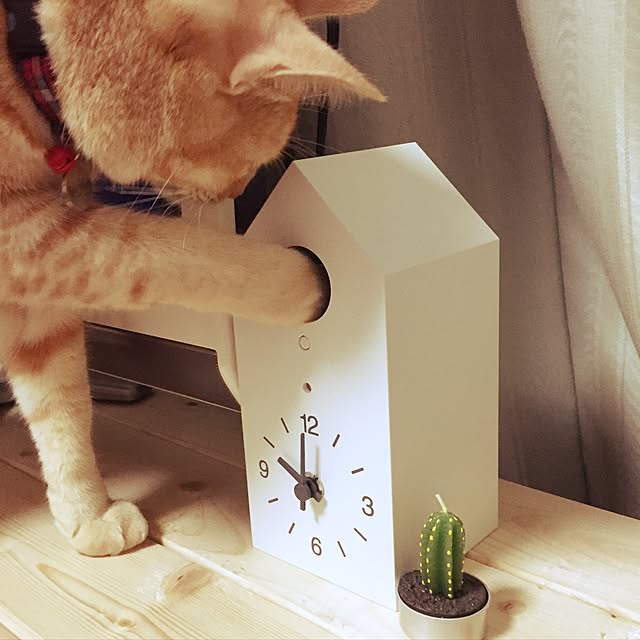 Yumiさんの実例写真