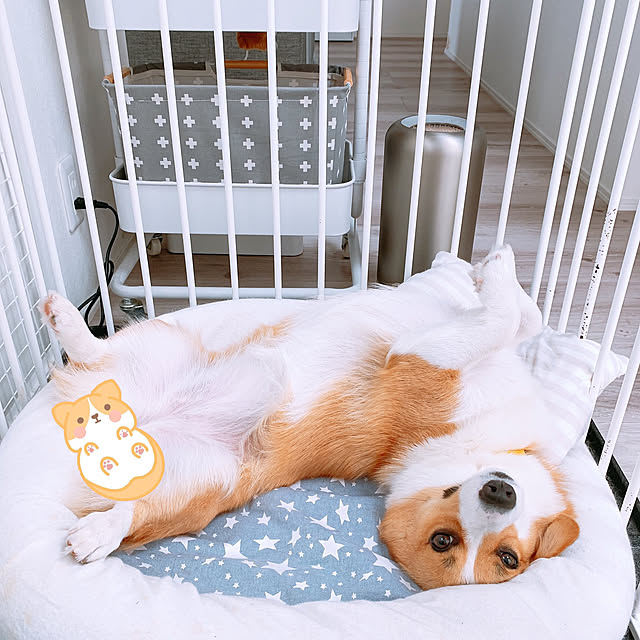 3ayuさんの実例写真