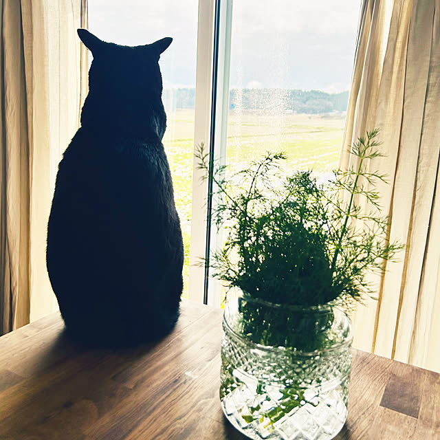 R.さんの実例写真
