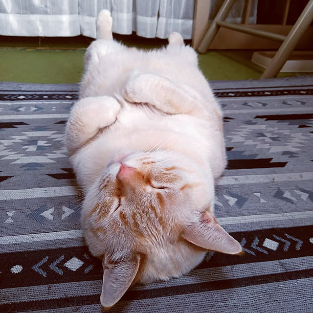 mntcさんの実例写真