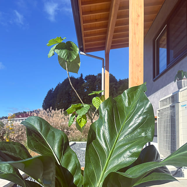 tokimaさんの実例写真