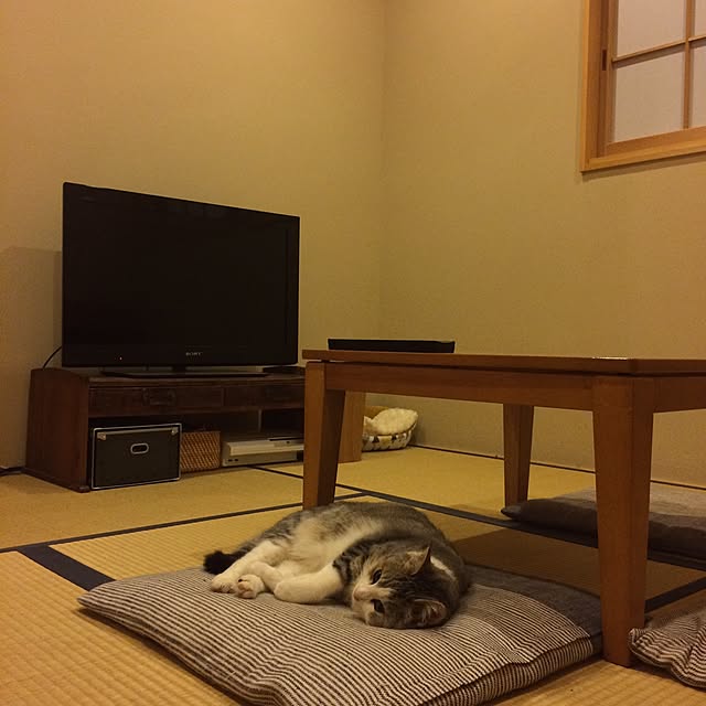 wakomaruさんの実例写真
