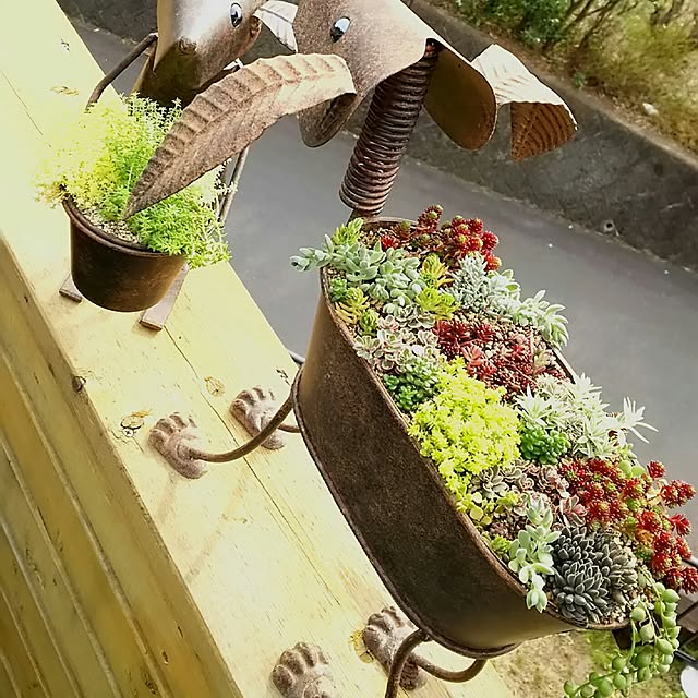 実例写真