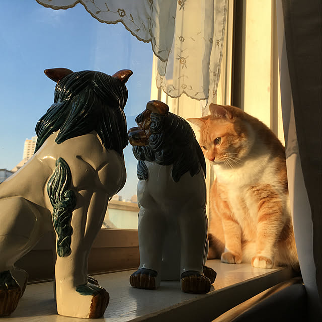 nyantaさんの実例写真
