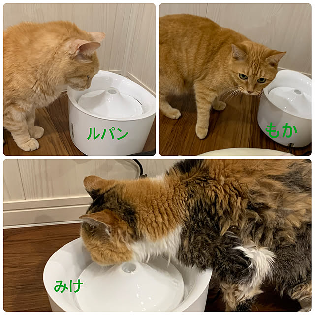 mikeume7さんの実例写真