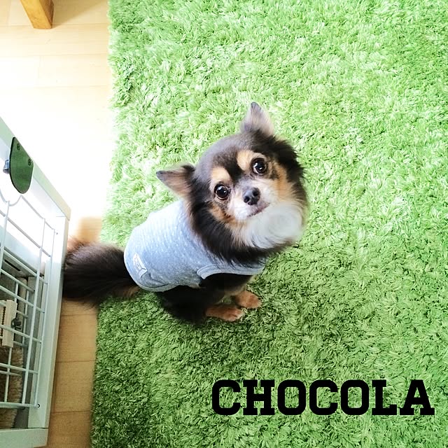 REINA612WORKSさんの実例写真