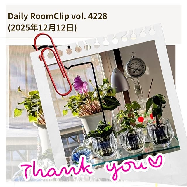 mi-saさんの部屋