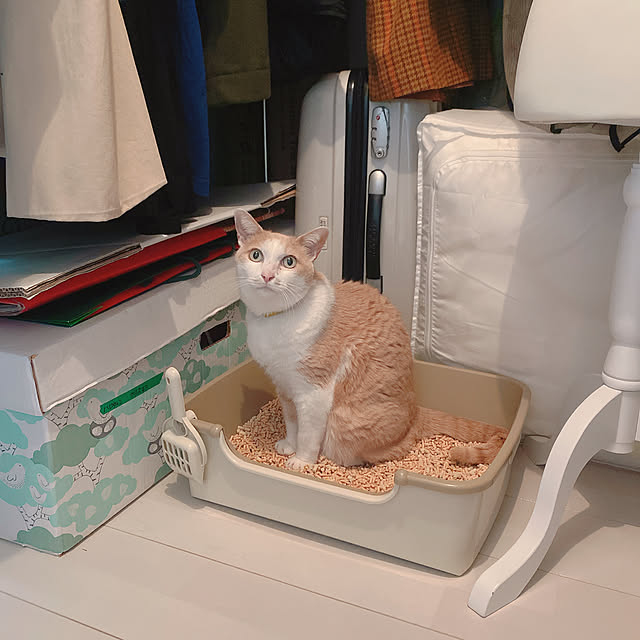 AkanetoSakuraさんの部屋