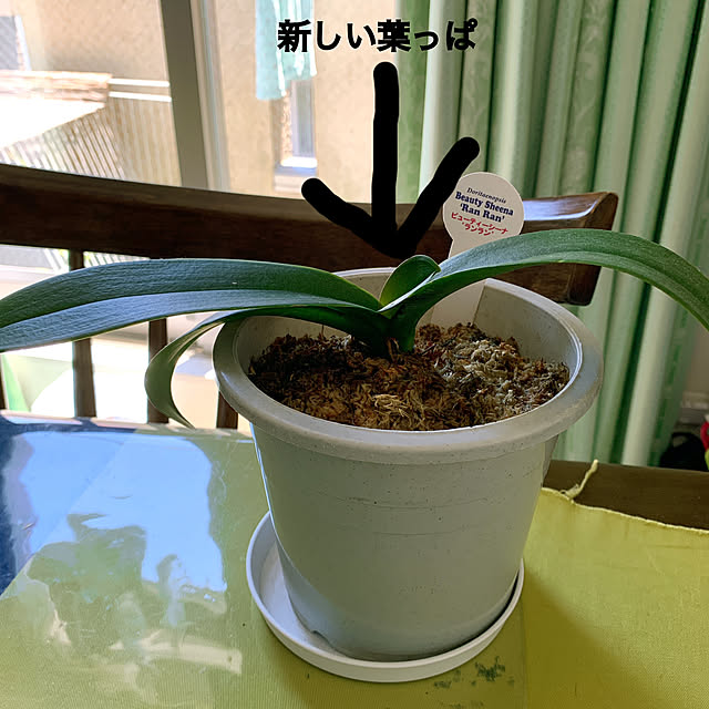eshinobumさんの部屋
