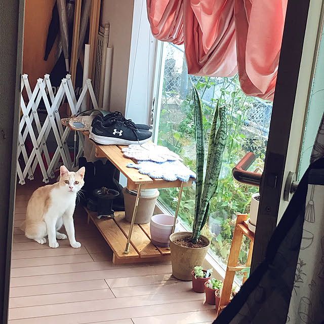 kou-kitiさんの実例写真