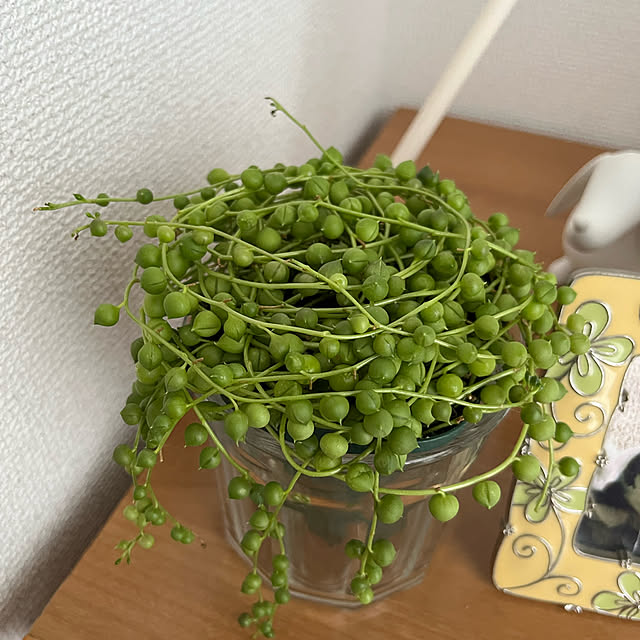 cocoさんの実例写真