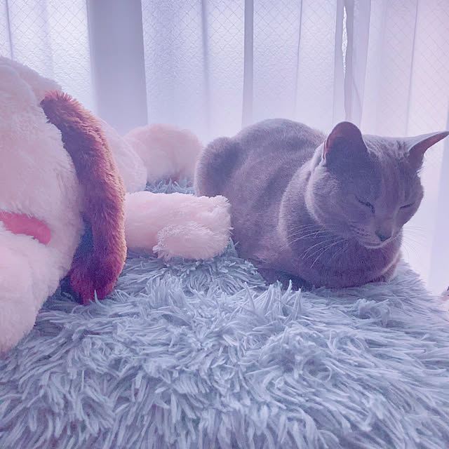 snoopyさんの部屋