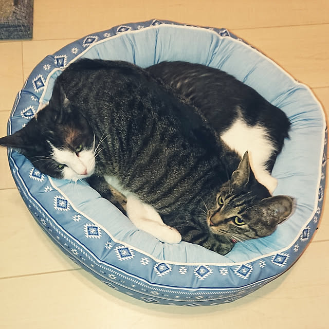 taka-kiさんの実例写真