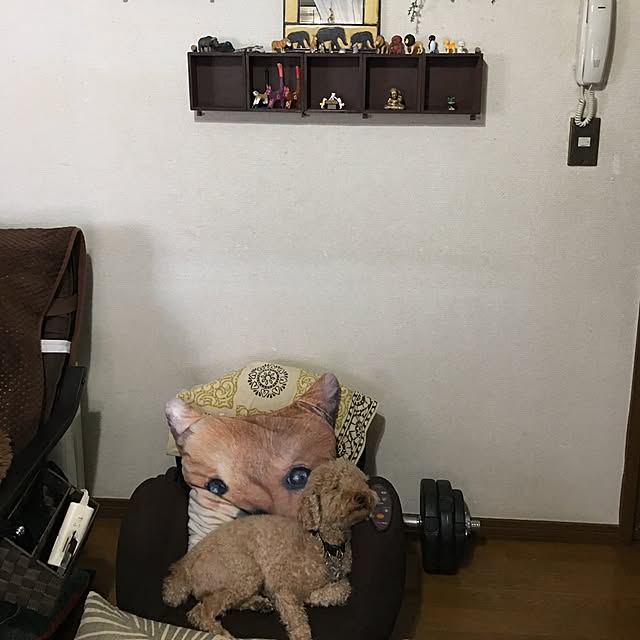 ronmaruさんの実例写真