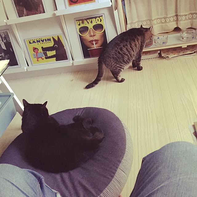yawatakomachiさんの実例写真