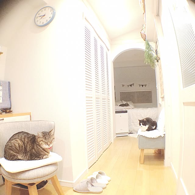 lovecatさんの実例写真