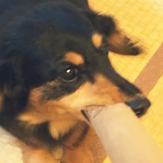 ohanaさんの実例写真