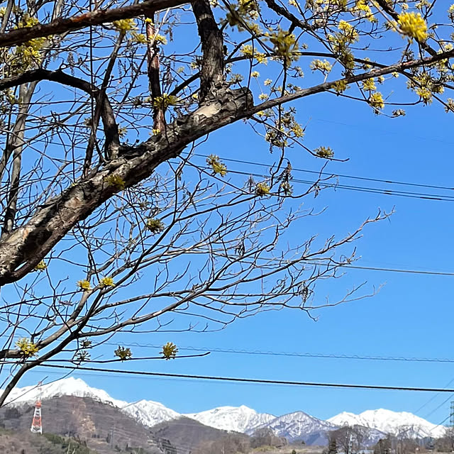 ronronさんの部屋