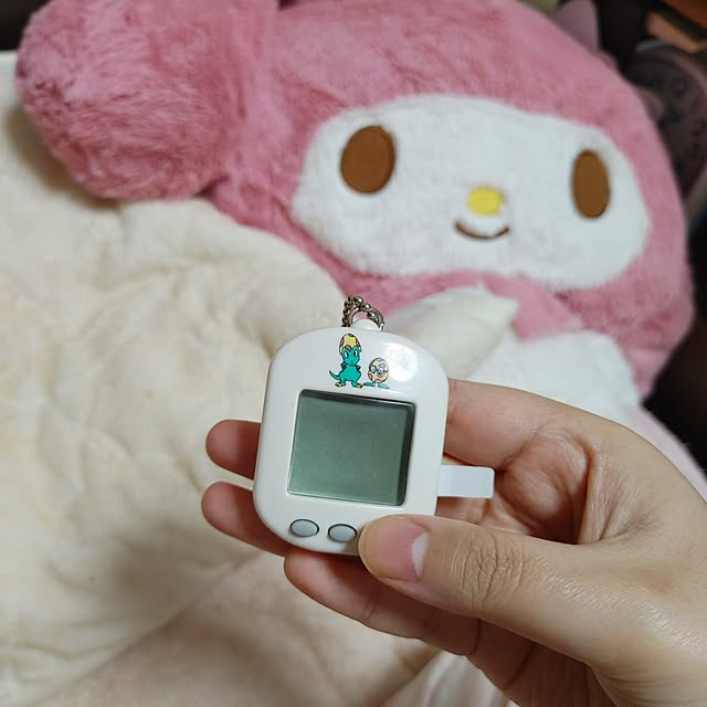 Mamikoさんの実例写真