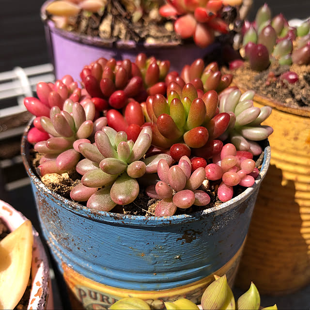 tinkさんの実例写真
