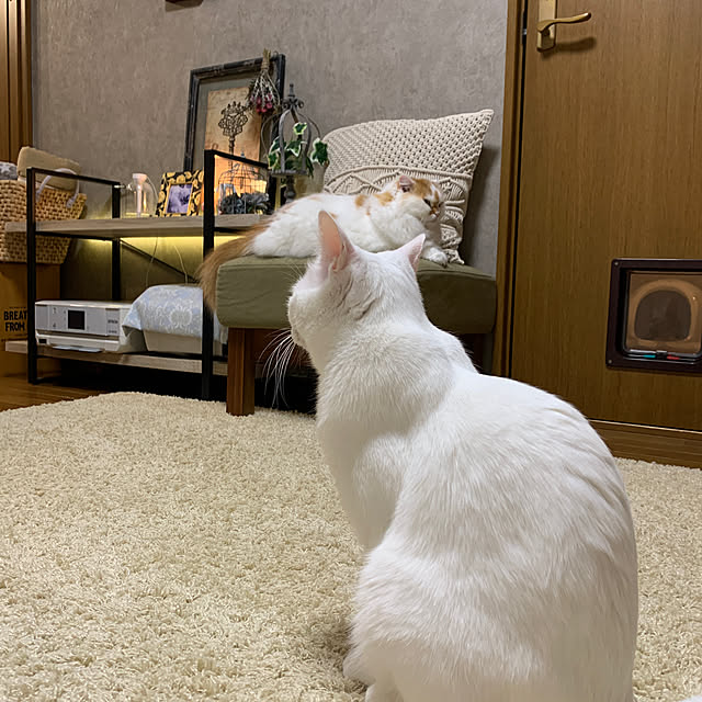 keiさんの部屋