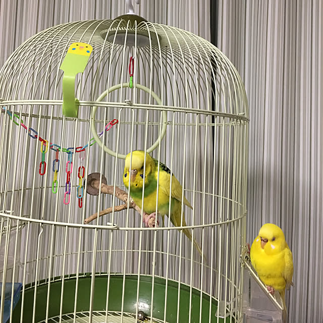 macaronさんの実例写真