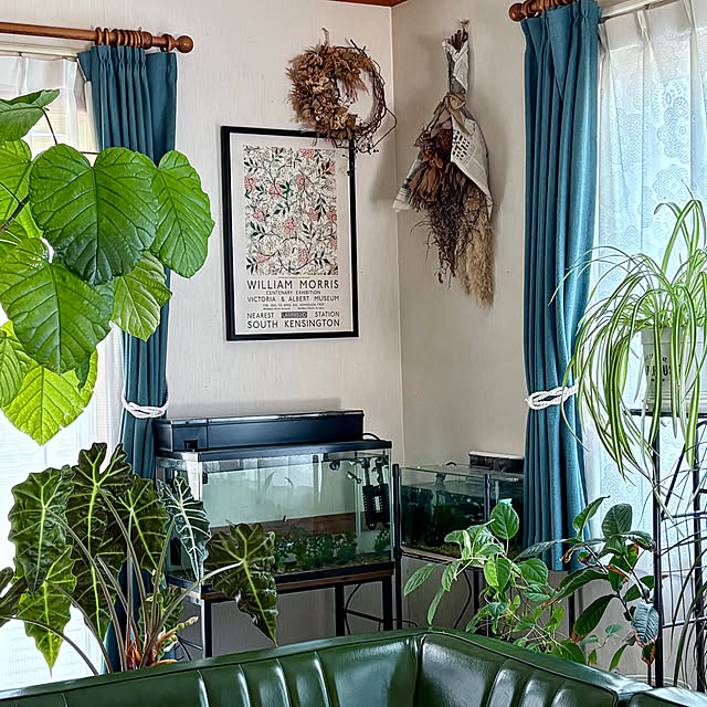 haruさんの実例写真