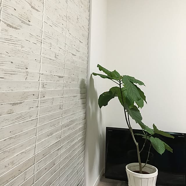 Katsuhiroさんの実例写真