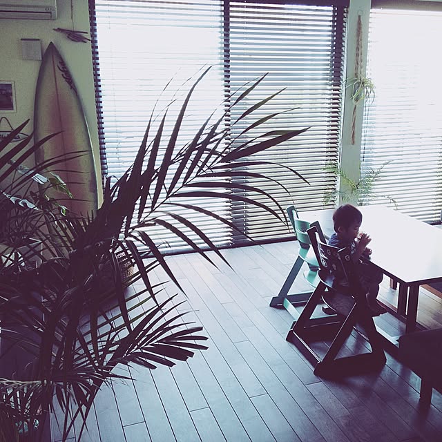 harusoraさんの実例写真