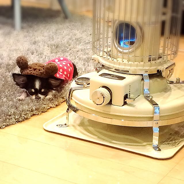 naotin32さんの実例写真