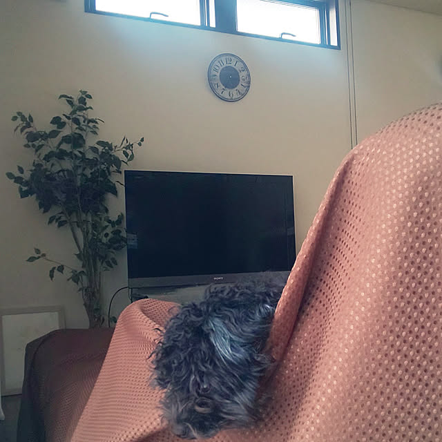 manatomatoさんの実例写真