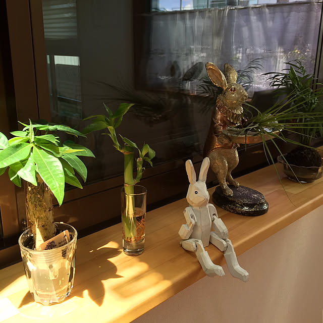 ayakaさんの実例写真