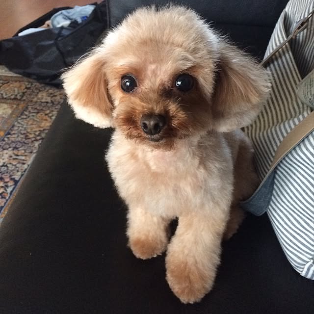 Hiroさんの実例写真