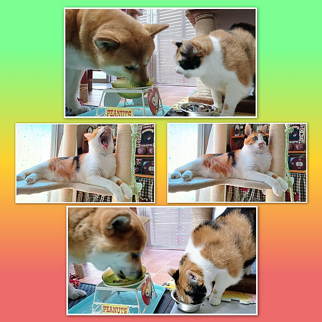 nanaさんの実例写真