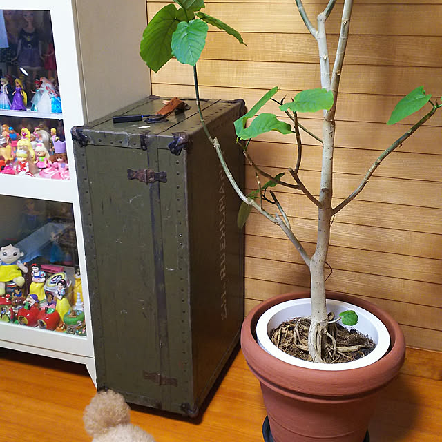 cherrycherryさんの実例写真