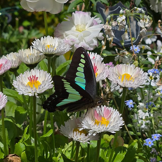 min_nimさんの実例写真