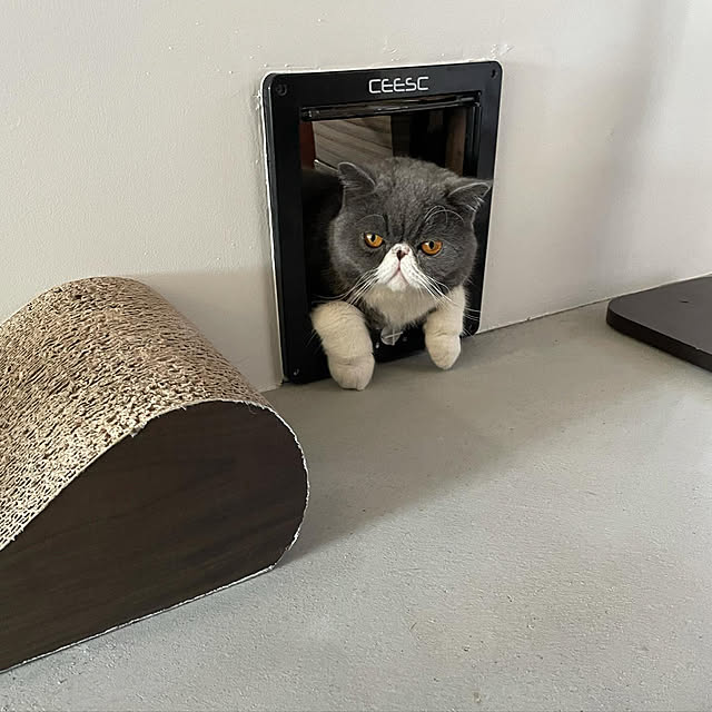 osamu0407さんの実例写真