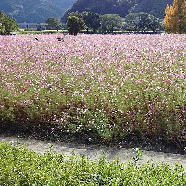 MYUさんの実例写真