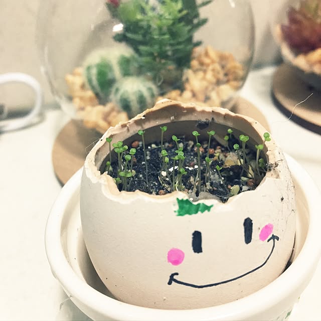 ohanaさんの実例写真