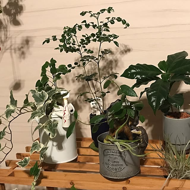 kojirohさんの実例写真