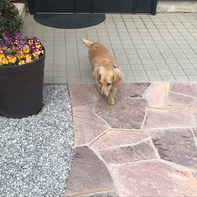 ronronさんの実例写真
